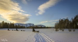 Northern Lights Dogsled Tour 2021