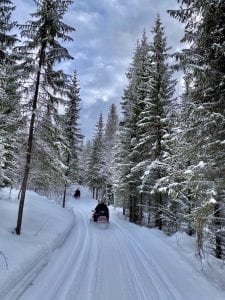 Northern Lights Snow Tour 2021