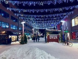 Northern Lights Rovaniemi Tour 2021
